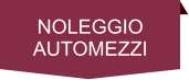 NOLEGGIO AUTOMEZZI